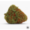 ORIGINAL ORANGE BUD